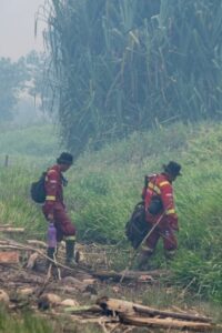 Ilustrasi penyelamatan satwa karhutla (ANTARA FOTO:Nova Wahyudi:Tom)