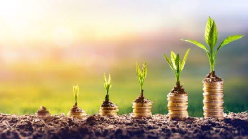 Investasi hijau