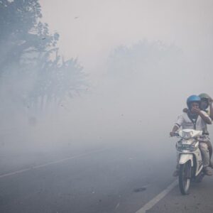 Kabut Asap
