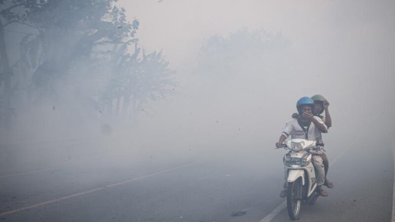 Kabut Asap