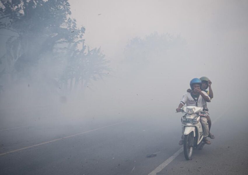 Kabut Asap