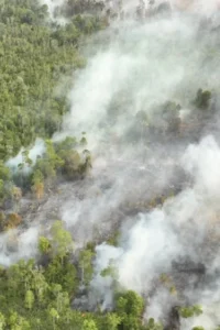 Karhutla di Kalimantan
