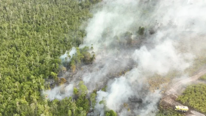 Karhutla di Kalimantan