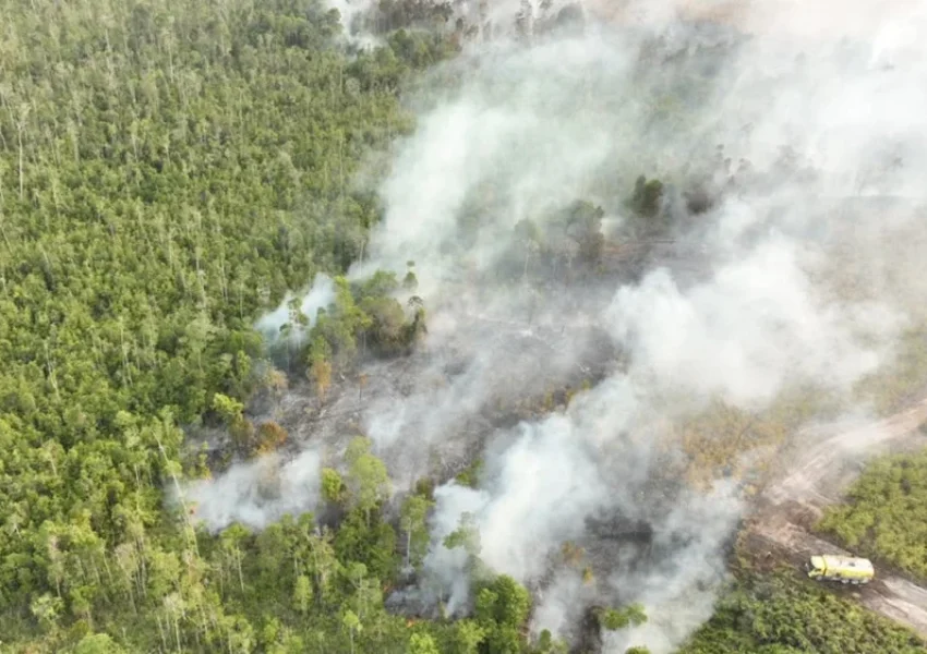 Karhutla di Kalimantan