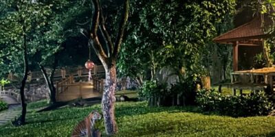 Ragunan Zoo