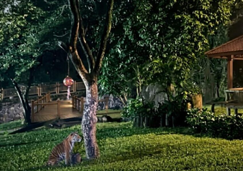 Ragunan Zoo